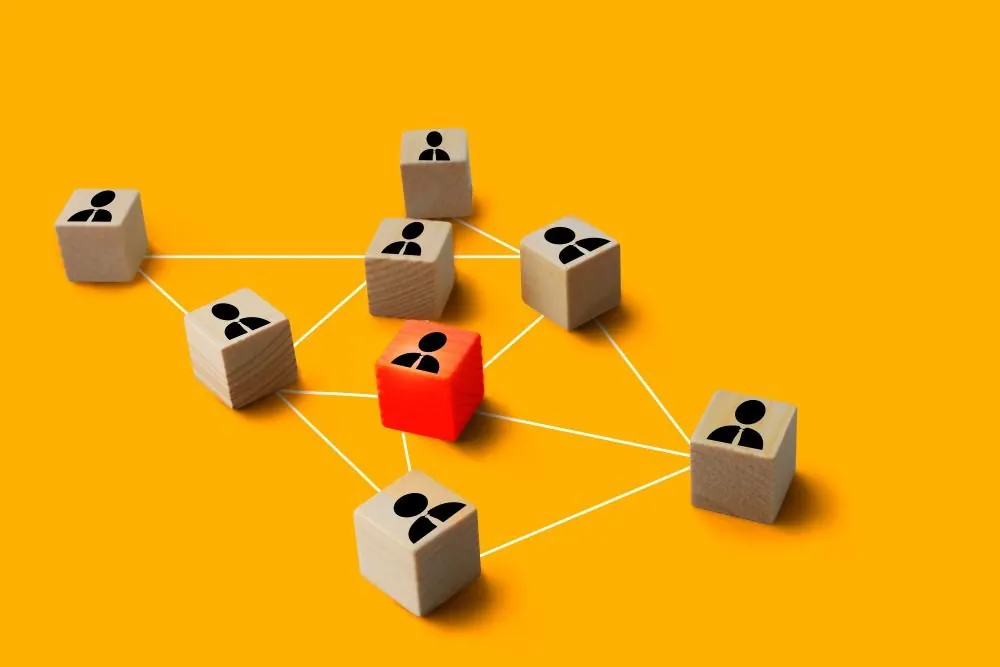Collaboration et mise en réseau des acteurs